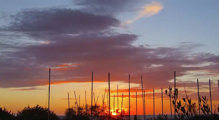 Ferienhaus in Marina di Castagneto Carducci
