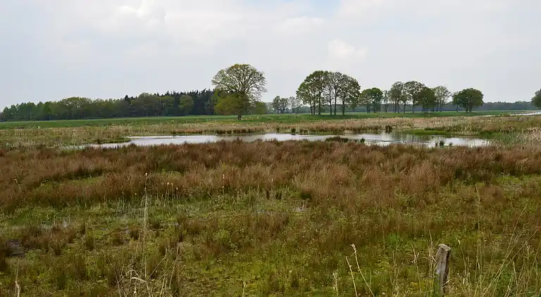 Holiday home in Beerze