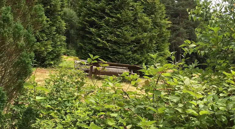 Sommerhus i Reinerzau