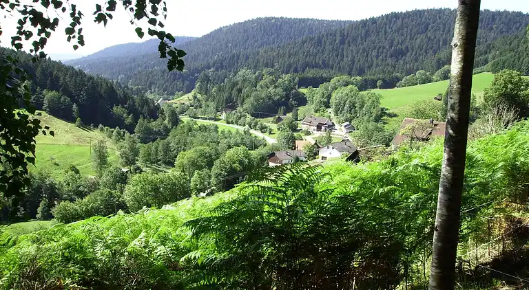 Sommerhus i Reinerzau