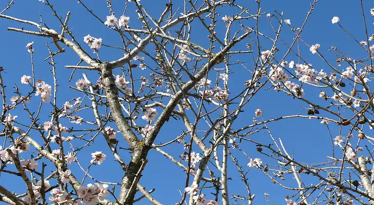 Villa en Benitachell