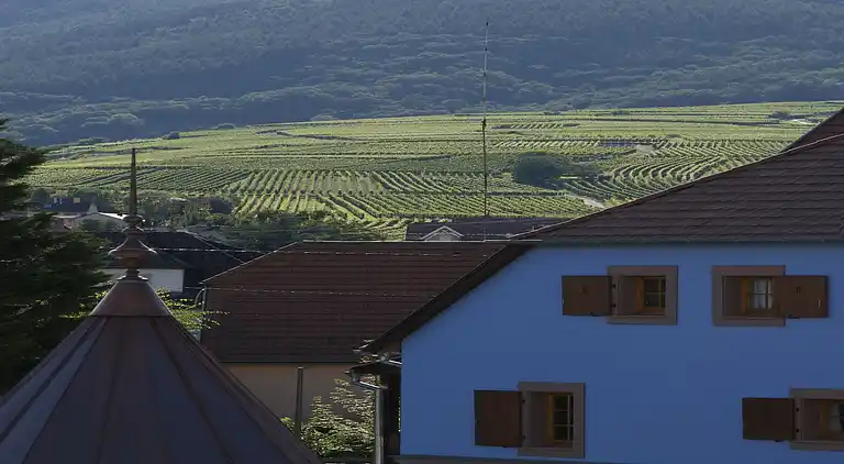 Ferielejlighed i Obermorschwihr