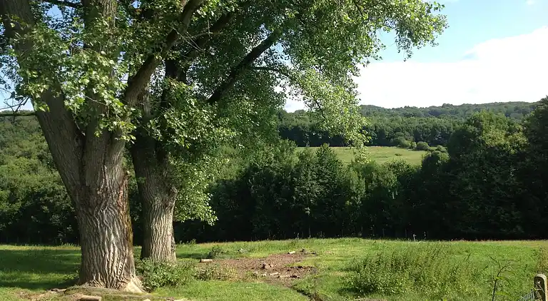 Herregård i Ellezelles