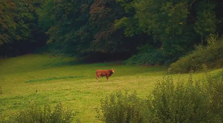 Villa in Trouville-sur-Mer