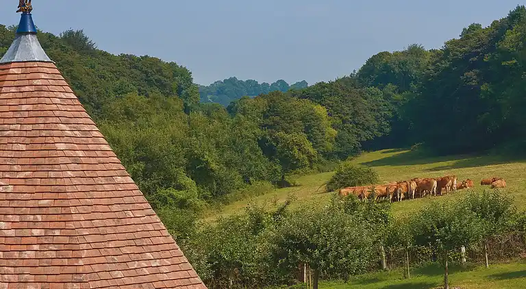 Villa in Trouville-sur-Mer