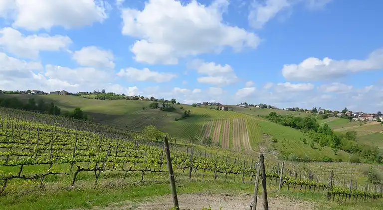 Villa in Ziano Piacentino