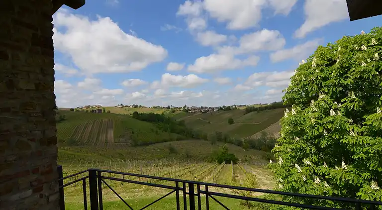 Villa in Ziano Piacentino