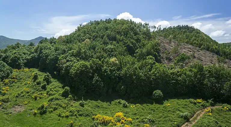 Holiday home in Piancastagnaio