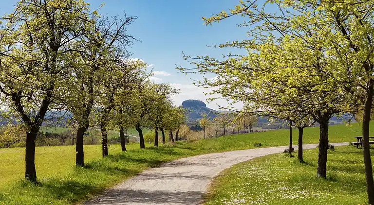 Sommerhus i Mittelndorf