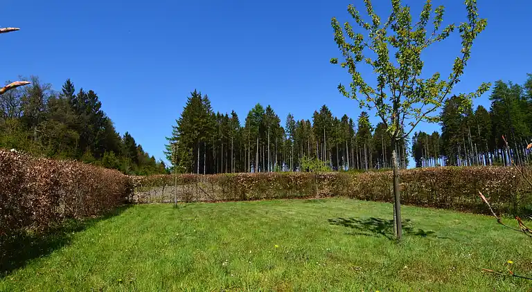 Holiday home in Kolonie