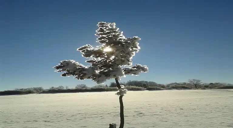 Ferielejlighed i Medelon