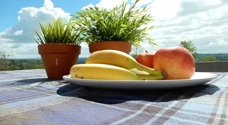 Villa i Saint-Mélany