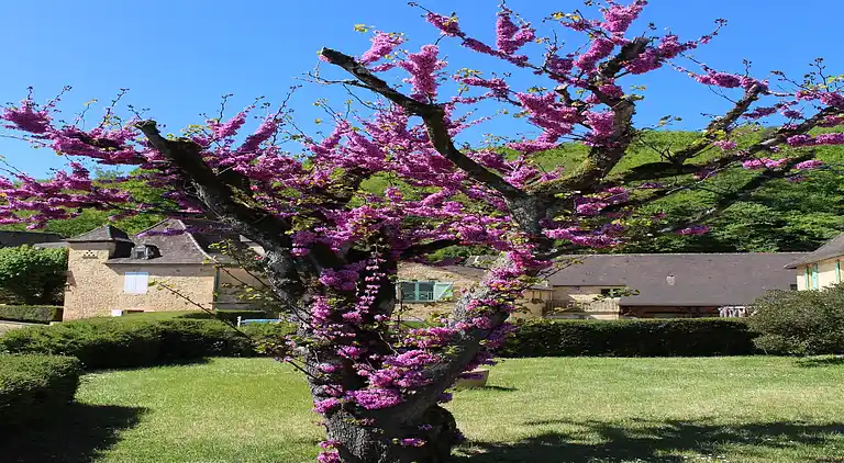 Holiday home in Saint-Vincent-le-Paluel