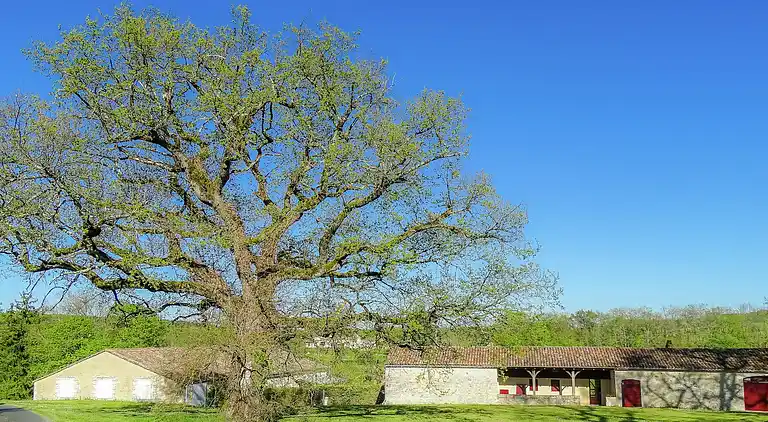 Feriebolig i Monestier