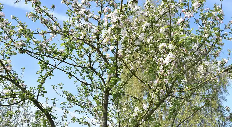 Semesterbostad i Épaignes