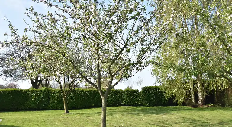 Semesterbostad i Épaignes