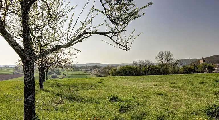 Holiday home in Fretigney-et-Velloreille
