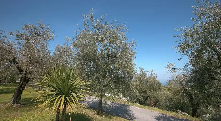 Sommerhus i Soiano del Lago