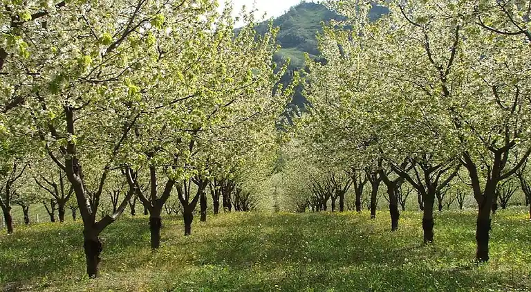 Vakantiehuis in Tredozio