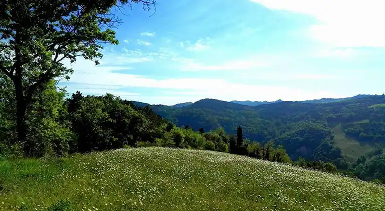 Lägenhet i Tredozio