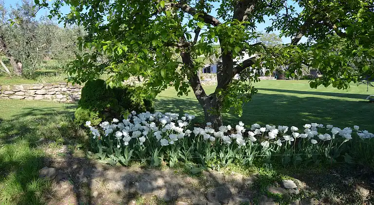 Ferielejlighed i Modigliana