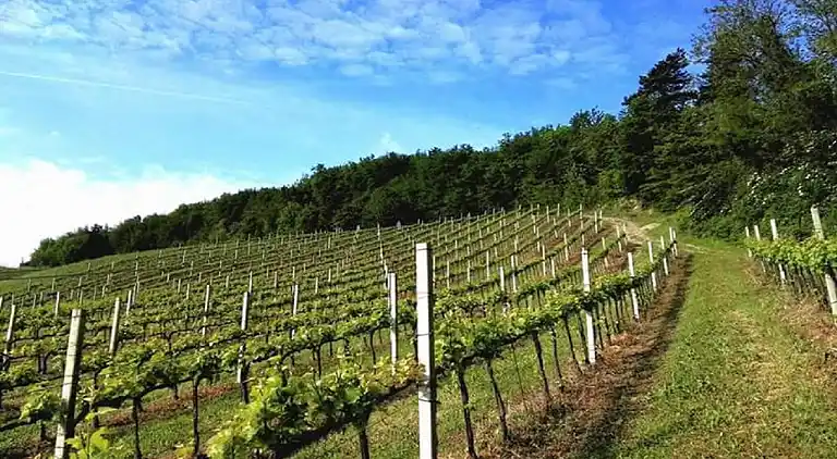 Lägenhet i Tredozio