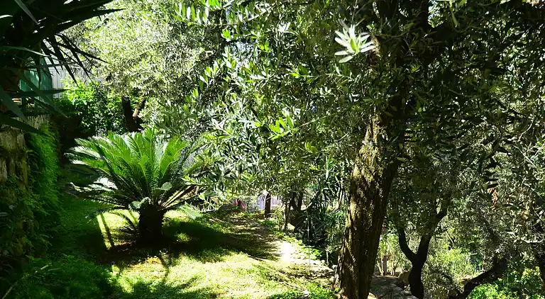 Holiday home in Riviera di Marcigliano