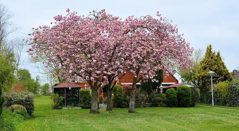 Sommerhus i Zuid-Holland