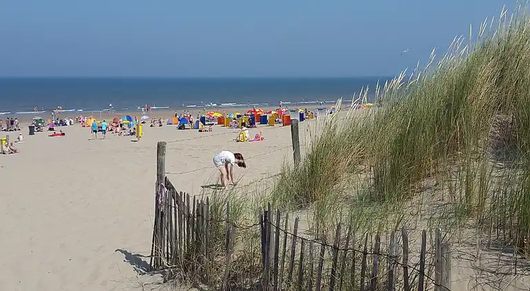 Sommerhus i Zuid-Holland
