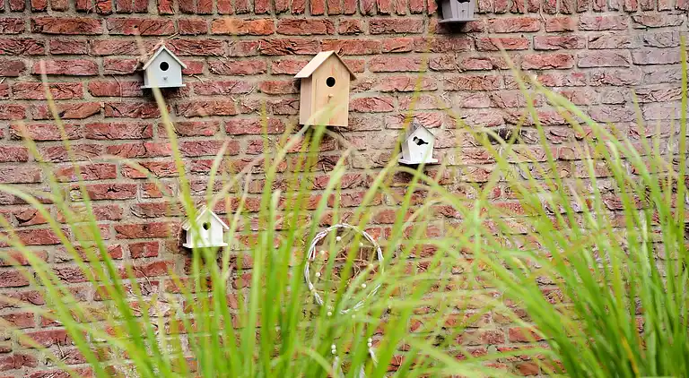Sommerhus i Zuid-Holland