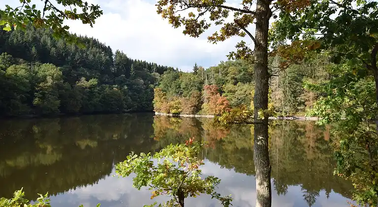 Sommerhus i Houffalize