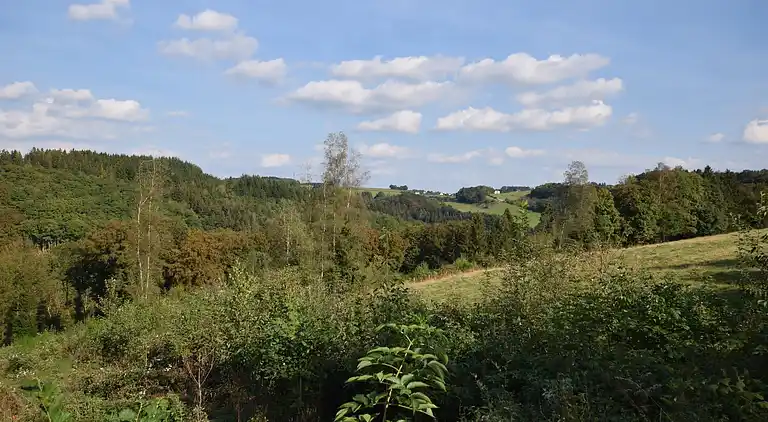 Sommerhus i Houffalize