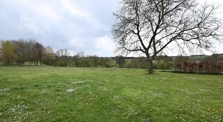 Sommerhus i Houffalize