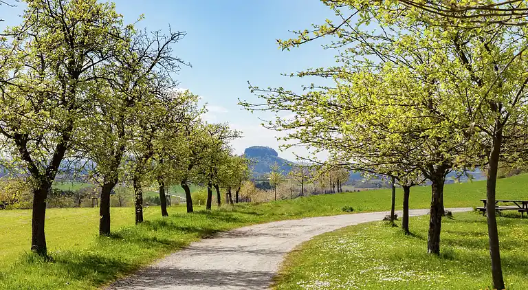 Holiday home in Mittelndorf
