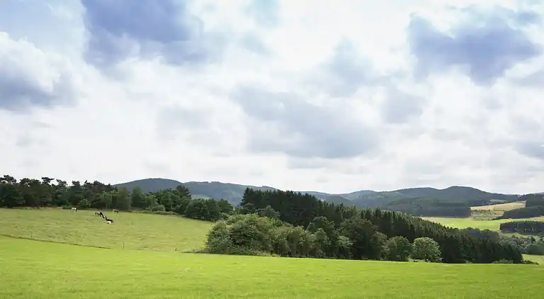 Vakantiehuis in Buchenberg