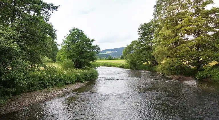 Vakantiehuis in Buchenberg
