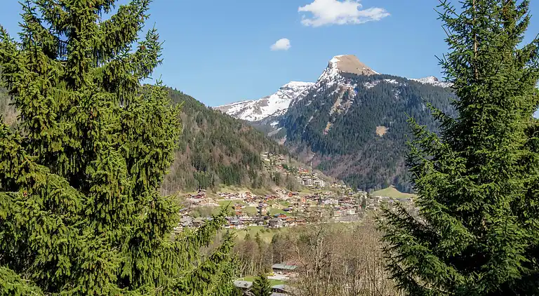 Holiday home in Les Gets