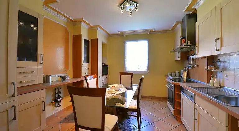 Villa in Ripenda Kras