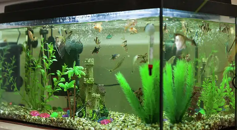 Holiday home in Podstrana