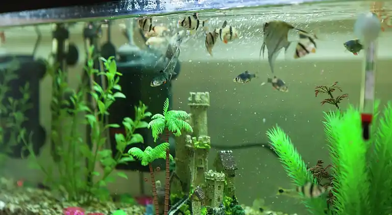 Holiday home in Podstrana