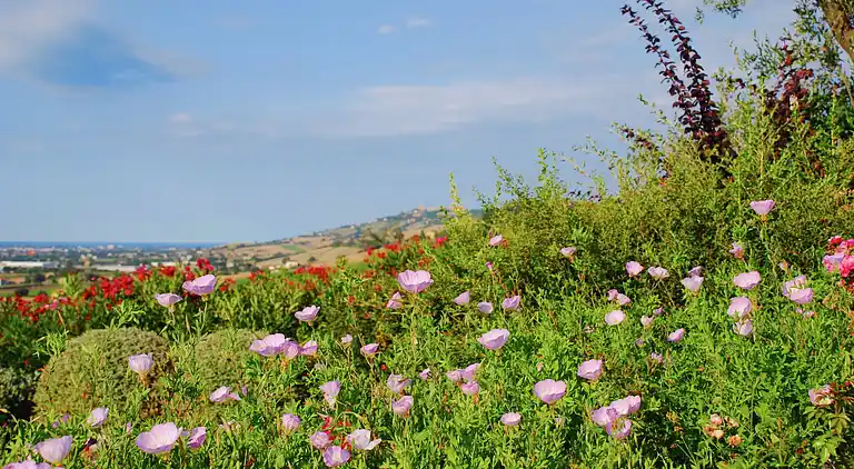 Holiday home in Montelupone