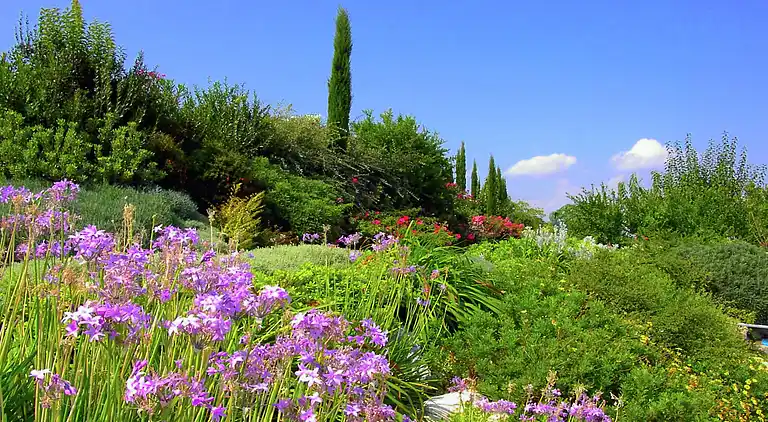 Holiday home in Montelupone