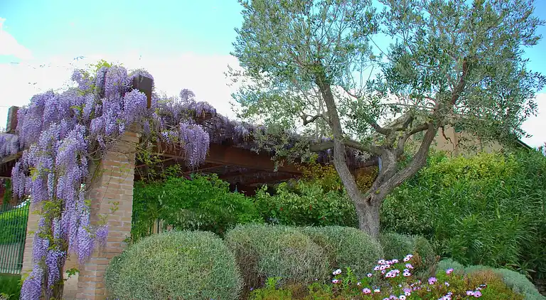 Holiday home in Montelupone