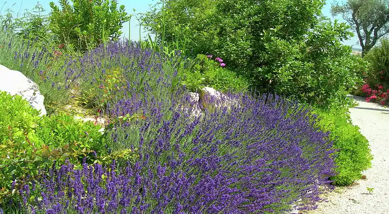 Holiday home in Montelupone