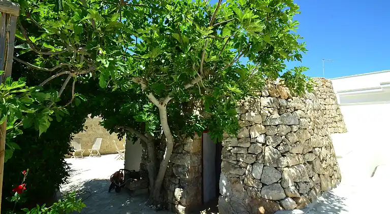 Landhaus in Marina di Mancaversa-Giannelli