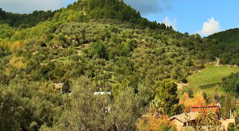 Sommerhus i Giarratana