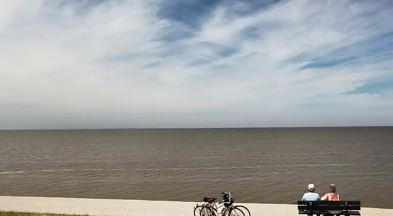 Cottage in Hippolytushoef