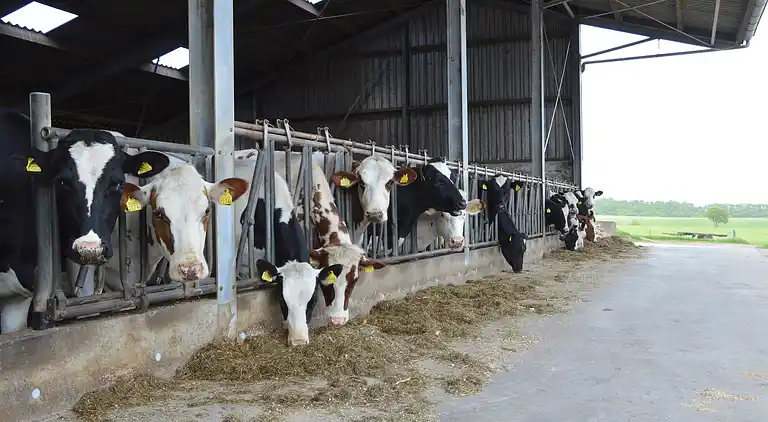 Farm house in Groesbeek