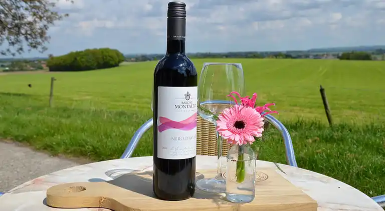 Farm house in Groesbeek