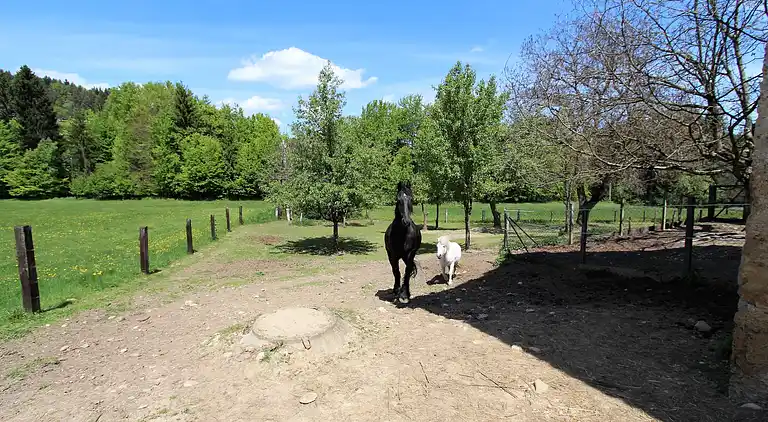 Apartment in Tschrestal